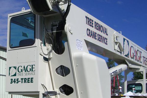 More Vinyl Graphics on Gage Tree Crane Truck